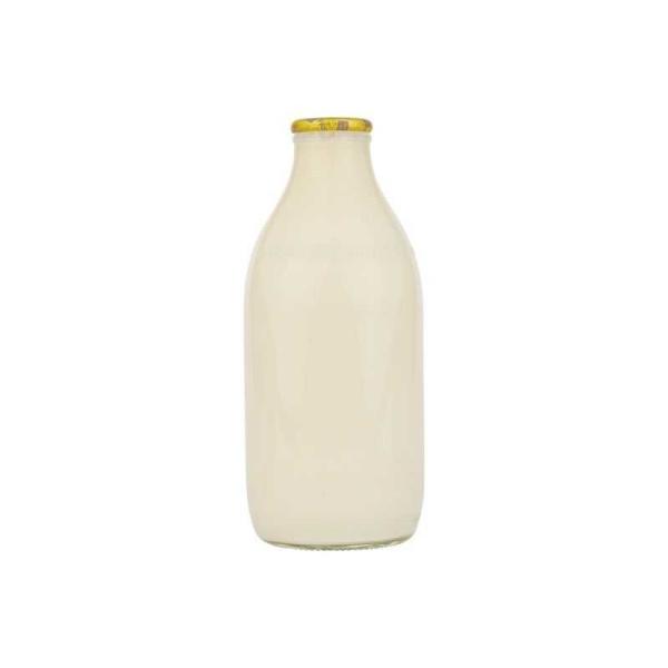1 pint Gold Top Jersey Milk